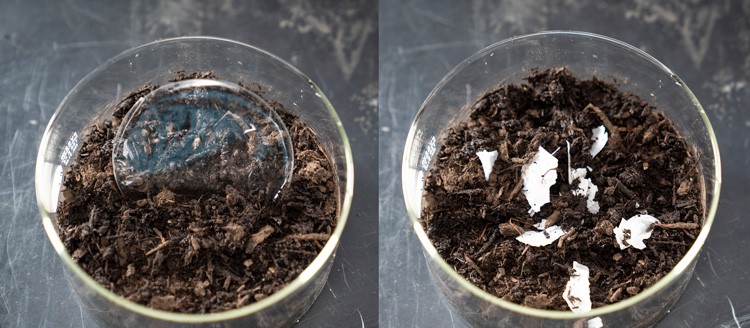 Bio-nedbrydeligt plastik. Ny proces gør bio-nedbrydeligt plastik reelt nedbrydeligt - teknologikritk.dk